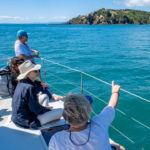 Hauraki Gulf Eco-Sailing Adventure Tour from Waiheke Island