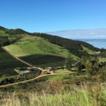 Best Waiheke Island Vineyards and Bush Walk