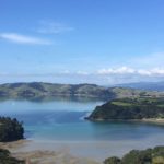 best waiheke island wine tours